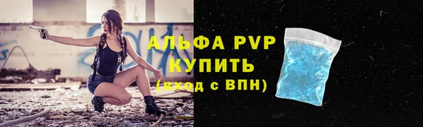 сатива Белоозёрский