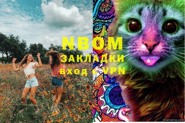 ПСИЛОЦИБИНОВЫЕ ГРИБЫ Баксан