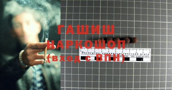 ПСИЛОЦИБИНОВЫЕ ГРИБЫ Баксан