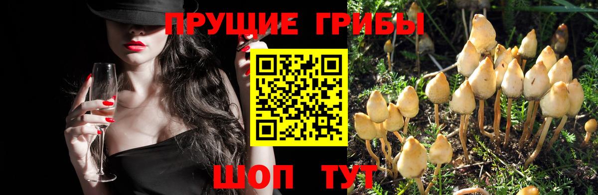 Псилоцибиновые грибы прущие грибы  Галлюциногенные грибы мухоморы  Вход с VPN  Армавир 